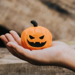 bo bi ngo go halloween 5