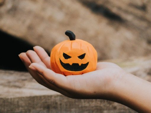 bo bi ngo go halloween 5