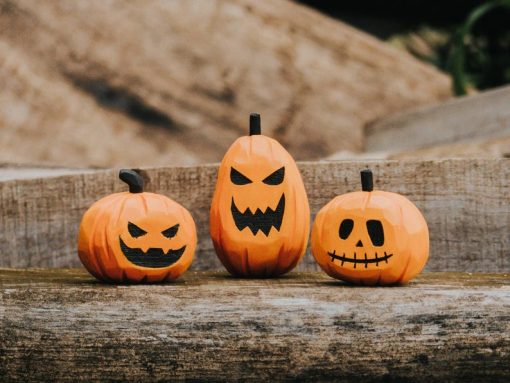bo bi ngo go halloween