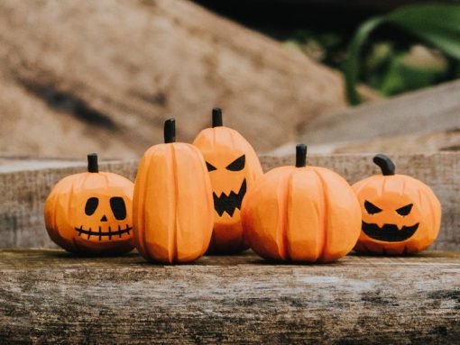 bo bi ngo go halloween 7