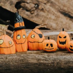 bo bi ngo go halloween trang tri 3