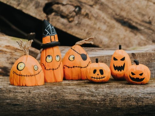 bo bi ngo go halloween trang tri 3