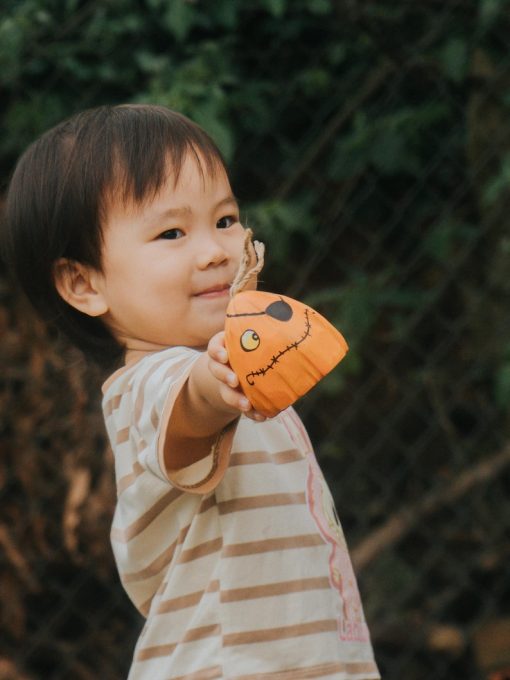 bo bi ngo go halloween trang tri 7