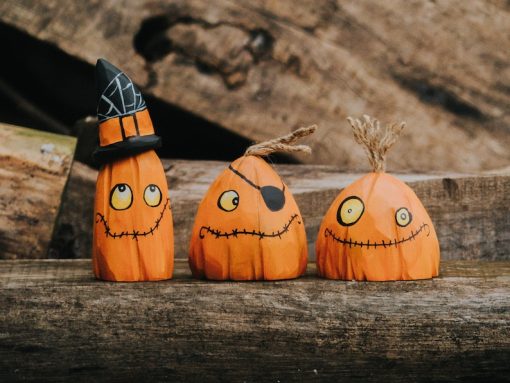 bo bi ngo go halloween trang tri 8