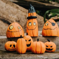 bo bi ngo go halloween trang tri 9
