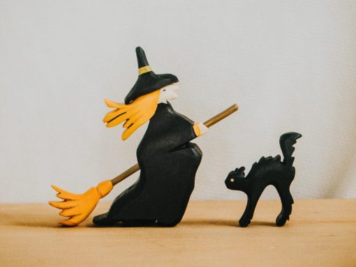 bo phu thuy meo den go halloween 1