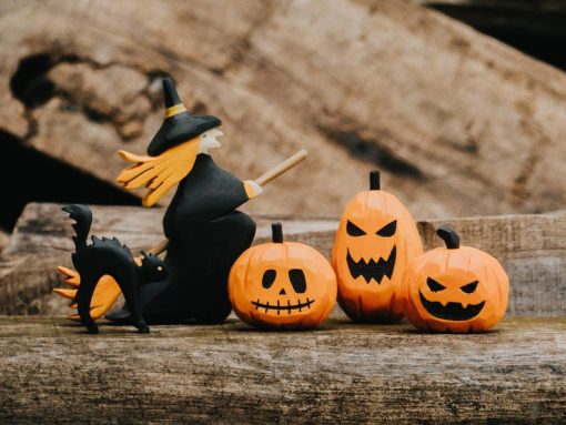 bo phu thuy meo den go halloween 5