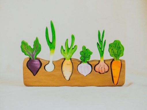 bo xep hinh rau cu go montessori