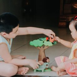 cay bao bap go thu cong 7