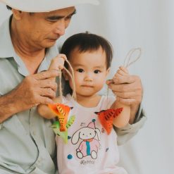 chim ruoi go treo giang sinh 9