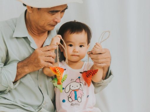chim ruoi go treo giang sinh 9