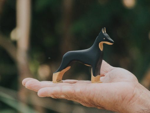 do choi cho go doberman 1