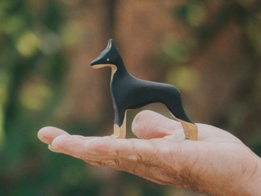 do choi cho go doberman 2