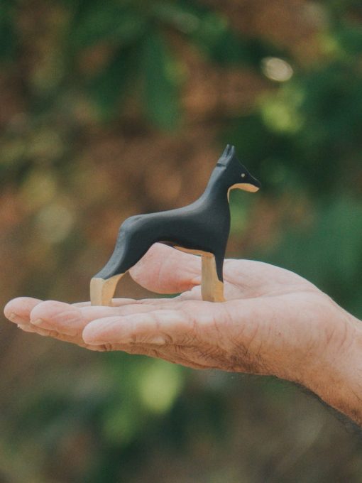 do choi cho go doberman 3