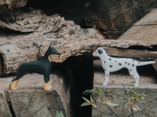 do choi cho go doberman 5
