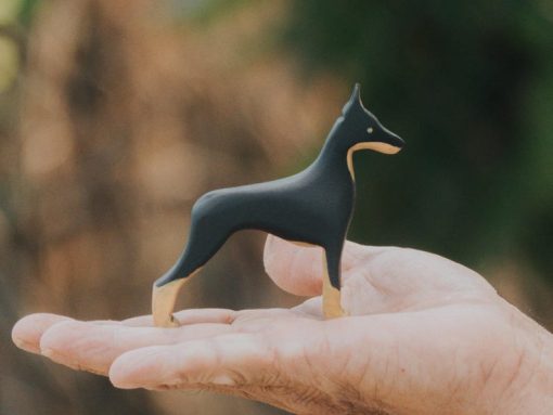 do choi cho go doberman