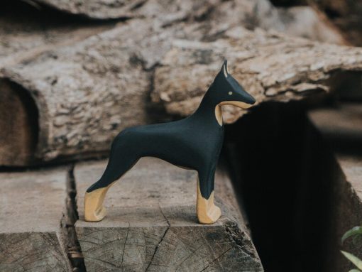 do choi cho go doberman 6