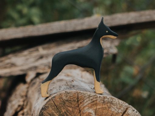 do choi cho go doberman 7