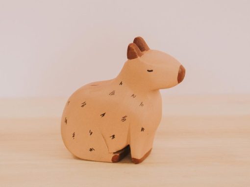 do choi go capybara 1
