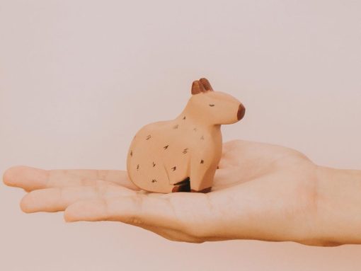 do choi go capybara 3