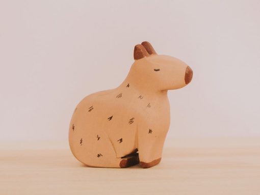 do choi go capybara