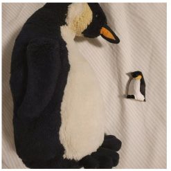 il 794xN.5398103400 fn8l