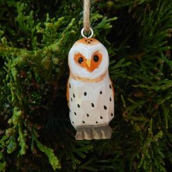 il 794xN.6223730229 31cp