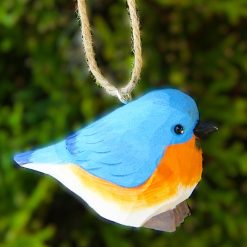 il 794xN.6223822869 5wxh